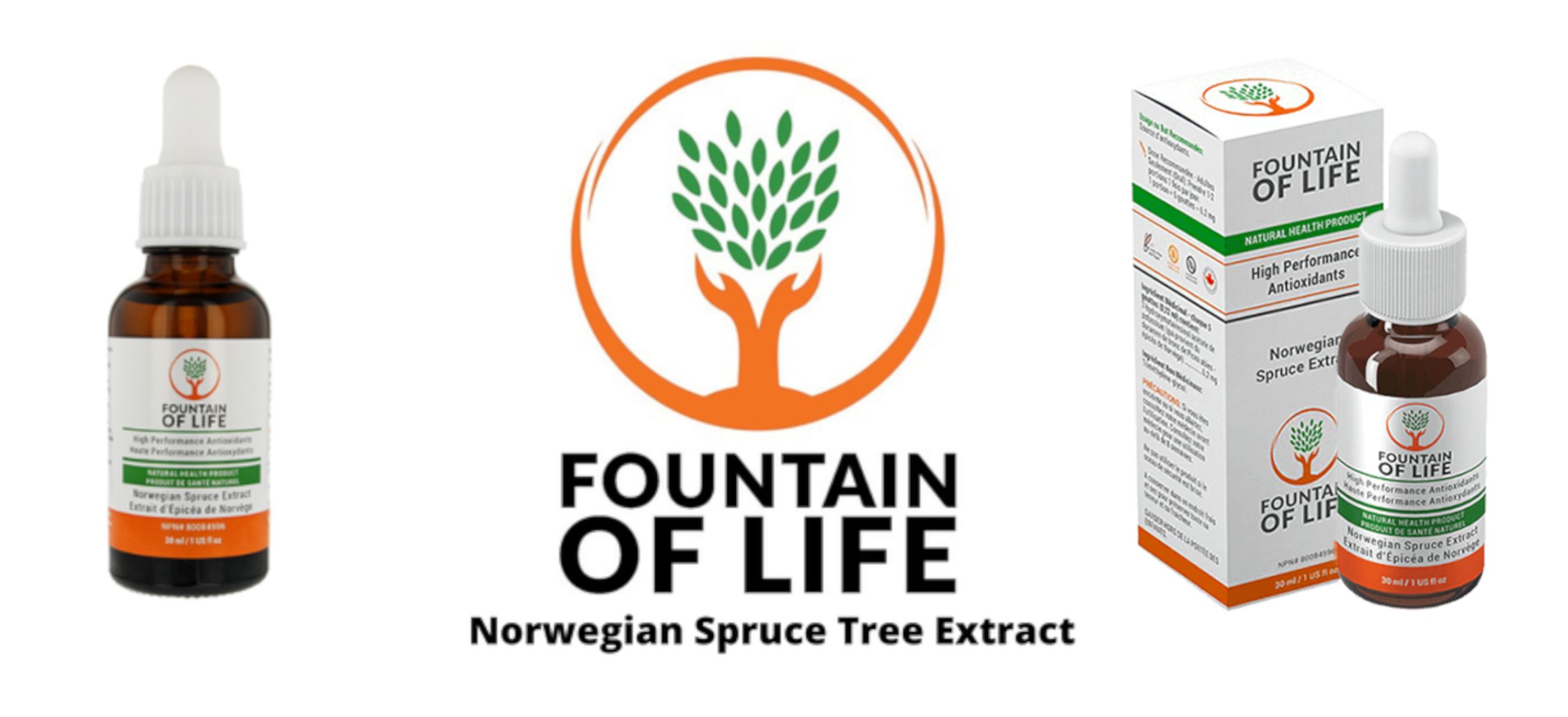fountainoflife-banner